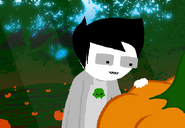 Jake inspecting a pumpkin.