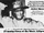 Killer Bees (film)