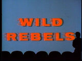 MST3K 207 - Wild Rebels