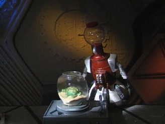 "More fish flakes, sweet friend?"