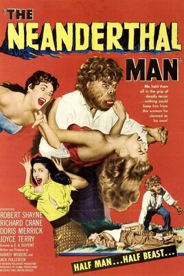 NmanPoster