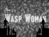 CT - The Wasp Woman