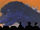Godzilla (character)