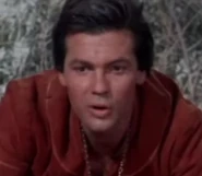 Appearing in The Magic Sword