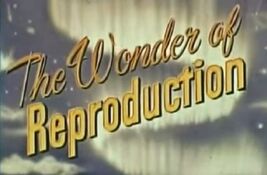 Reproductiontitle