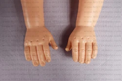 hands