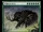 Primalcrux