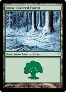 A Snow-Covered Forest