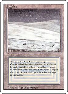 『MTG』デュアルランド　ドイツ語　tundra MTG』デュアルランド ドイツ語 tundra MTG』デュアルランド
