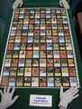 Visions Common uncut print sheet