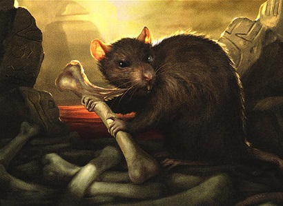 Rat