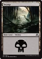 Swamp