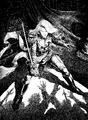 Crimson Vow Eternal Eternal Frame art