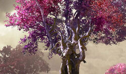 JASPERA TREES.jpg