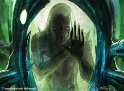 Krasis Incubation
