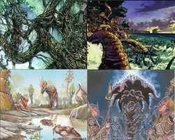 Magic: The Gathering - Yavimaya Coast (Costa Di Yavimaya) - Set Magic Origins