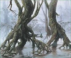 Skyshroud forest