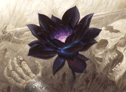 Black Lotus - MTG Wiki