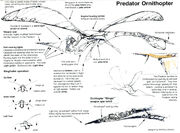 Predator Ornithopter