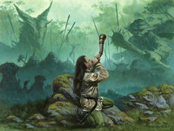 Rob Alexander - MTG Wiki