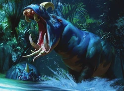 Hippo