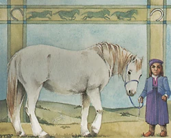 Pony