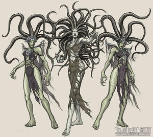 Gorgon Species in Kald