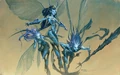 Judge Gift promo