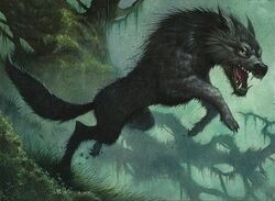 Creature Wolf Com 4 x TIMBERPACK WOLF NM mtg M13 Green