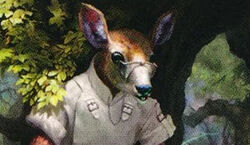 Deer.jpg