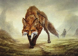 Fox