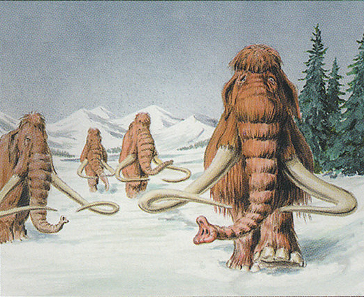 Mammoth - MTG Wiki