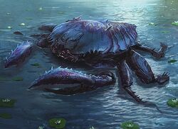 Crab Mtg Wiki Crab Mtg Wiki