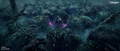 Kaya amid Torga trolls.