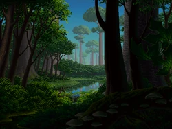 White Woods