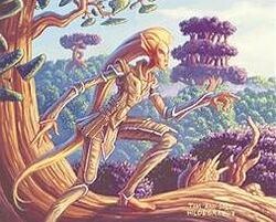 Yavimayan elf.jpg