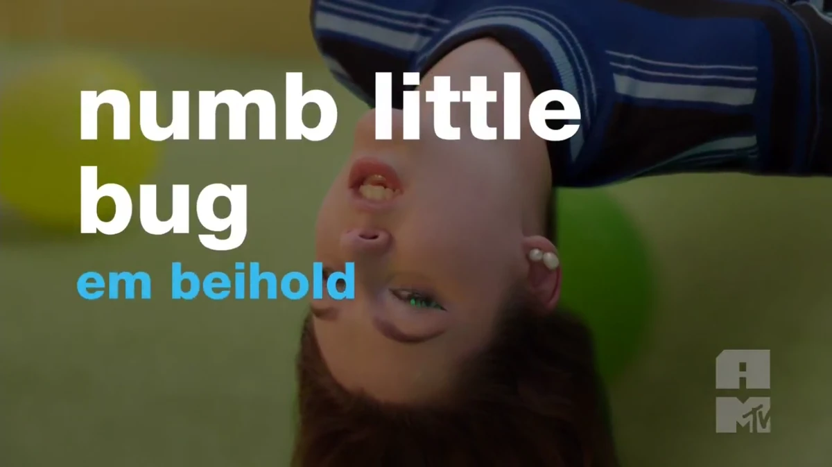 testi em beihold numb little bug