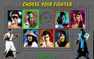 All of the characters (fighters).