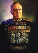 Zobokulov with all his badges.