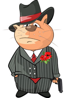 Catso