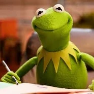 Look into my soul.jpeg (7 KB) Mr Frog means business