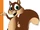 Sammy the Squirrel