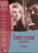 Meta and the Doctor on the cover of the film.