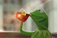 Tobbacco the wacko.jpg (17 KB) Mr Frog chugging down some tea