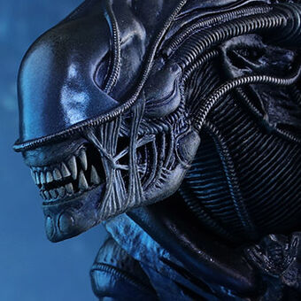 Xenomorph Specie Made Up Characters Wiki Fandom Roblox Alien Xenomorph Roblox Alien Xenomorph Xenomorph Specie Made Up Characters Wiki Fandom