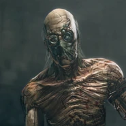 22th of July, 1964 Third leader of the Project and new patient, Richard Dixmor born.