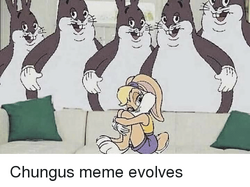 Línea evolutiva de BIG CHUNGUS - Meme by NightmareShoot :) Memedroid