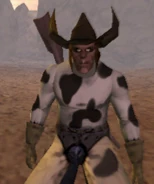 The leader, Holstein Hal.