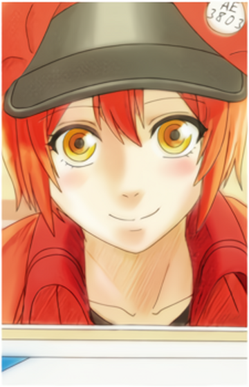 Red Blood Cell AE3803, Wiki