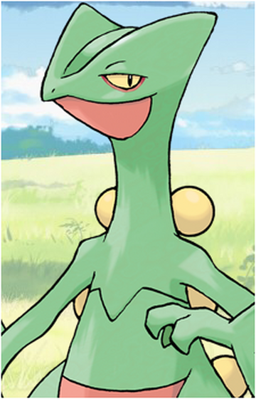How To Evolve Treecko into Grovyle and Sceptile In Pokemon Emerald